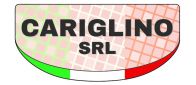 Cariglinosrl.it