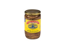SCAMPI BORDO PORCUPINE CLOGHERHEAD 11/15 9KG