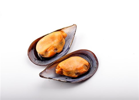 COZZA SPAGNA MEZZO GUSCIO 60/80 IQF KG 8