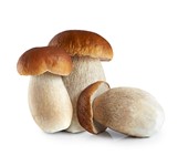 FUNGHI PORCINI INTERI EXTRA IQF KG5