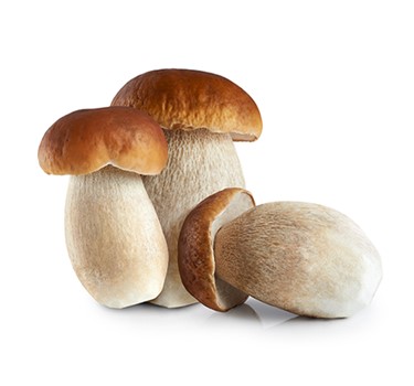 FUNGHI PORCINI INTERI EXTRA IQF KG5
