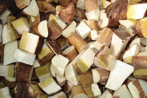 FUNGHI PORCINI CUBO 5KG IQF