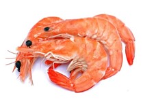 GAMBERO BOREALE INTERO CRUDO 4,5KG