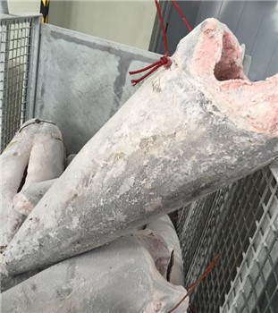 PESCE SPADA SASHIMI 10/20