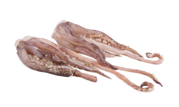 TENTACOLO TOTANO COMEX GIGAS TAGL.COTTI SFUSI KG5