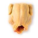 POLLO BUSTO 1 KG GIALLO ITALIA FRESCO