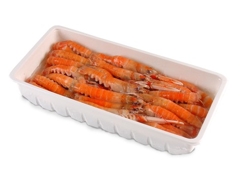 SCAMPI 31/40 VASCHETTA PZ 1 X 6
