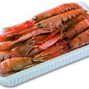 SCAMPI 41/50 VASCHETTA 0.75 KGX6