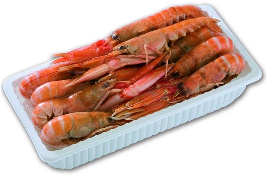 SCAMPI 41/50 VASCHETTA 0.75 KGX6