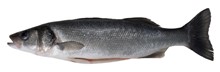 SPIGOLA EVISCERATA MEDITERRANEA IWP 6KG