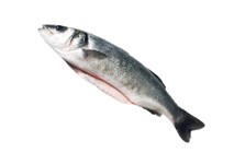 SPIGOLA EVISCERATA IWP 6KG (PV) LA SELEZIONE PAOLOMARE
