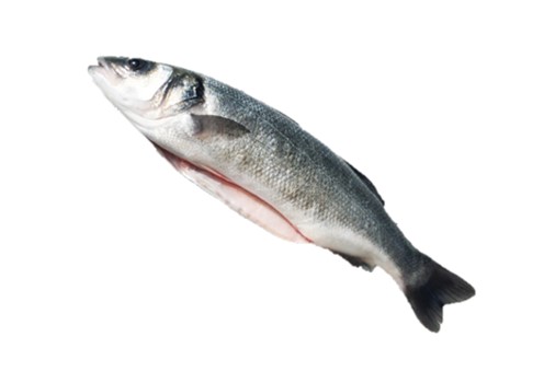 SPIGOLA EVISCERATA IWP 6KG (PV) LA SELEZIONE PAOLOMARE