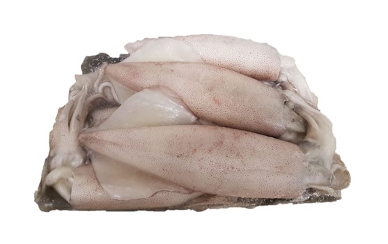 CALAMARO INDIA 3/6 BLAST FROZEN 1.8KGX6