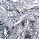 PESCE GHIACCIO 2/4 1X9KG