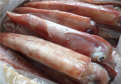 CALAMARO VIETNAM 25/30 C/T IQF 7KG