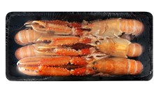 SCAMPI   4/7 VASCHETTA 0.750 KGX6