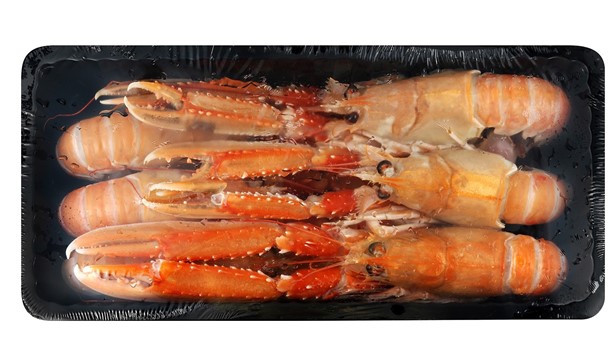 SCAMPI 4/7 VASCHETTA 0.750 KGX6