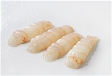 SCAMPI 30/45 SGUSCIATO CF1X10