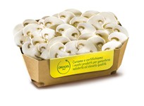 FUNGHI CHAMPIGNON FETTE KG 1X10