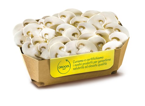 FUNGHI CHAMPIGNON FETTE KG 1X10