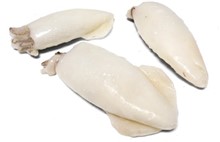 CALAMARO10/20 PULITO INDIA IQF 0.800KGX10  PAOLOMARE (UROTEUTHIS DUVAUCE