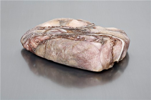 POLPO T7 MAROCCO KG 7 10% OCTOPUS VULGARIS FAO34