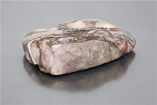 POLPO T8 MAROCCO KG 7 10% OCTOPUS VULGARIS FAO34
