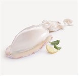SEPPIA PULITA 1/2 INDIA IQF 10 KG P.N.PAOLOMARE