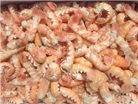 SCAMPI INTERI BORDO PORCUPINE  31/40 9KG