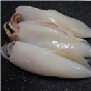 CALAMARO CINA 3/5 PZ 1 X 10 PAOLOMARE