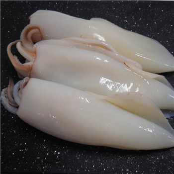 CALAMARO CINA 3/5 PZ 1 X 10 PAOLOMARE