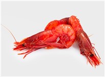 GAMBERO ROSSO L MOZAMBICO GR. 800X12 PZ (9.6KG)