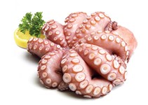 POLPO T7 BORDO BLOCCO OCTOPUS VULGARIS FAO 34