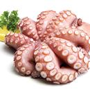 POLPO T7 BORDO BLOCCO OCTOPUS VULGARIS FAO 34