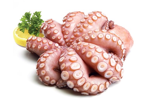 POLPO T7 BORDO BLOCCO OCTOPUS VULGARIS FAO 34