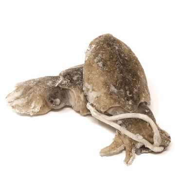 SEPPIA 300/500 5KG