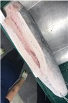 PESCE SPADA SASHIMI SPANCIATO 20/70