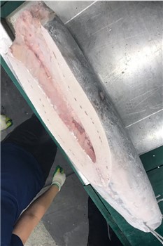 PESCE SPADA SASHIMI SPANCIATO 20/70