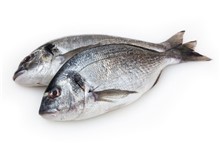 ORATA SQUAMATA EVISCERATA IWP 6KG (PV) PAOLOMARE LA SELEZIONE