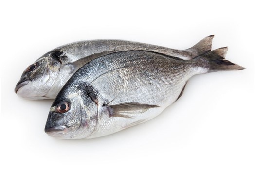 ORATA SQUAMATA EVISCERATA IWP 6KG (PV) PAOLOMARE LA SELEZIONE