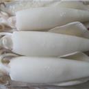 CALAMARO PULITO U5 BLOCCO PAOLOMARE 1.4KGX6