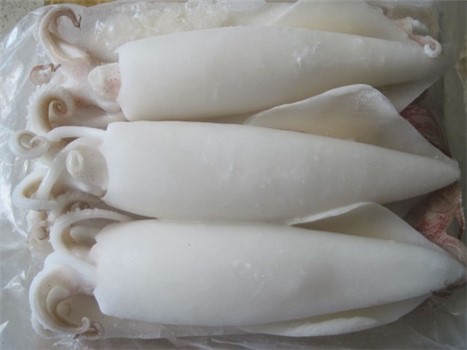 CALAMARO PULITO U5 BLOCCO PAOLOMARE 1.4KGX6