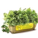 CIMETTE  DI RAPA OROGEL IQF 1KGX6