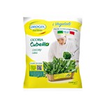 CICORIA FOGLIA PIU' 5KG OROGEL