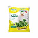 CICORIA FOGLIA PIU' 5KG OROGEL