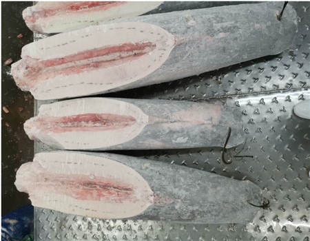 PESCE SPADA SASHIMI SPANCIATO 8/20