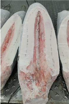 PESCE SPADA SASHIMI SPANCIATO 70 UP