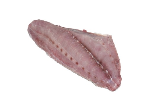 RICCIOLA FILETTO 1/2.5 KG.15