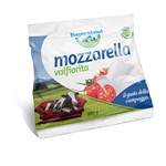 MOZZARELLA GR100xPZ10 BAYERNLAND