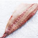 RICCIOLA FILETTO  200/400  IWP KG.6